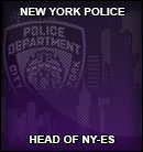 NY-ES Head