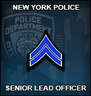 Senior Lead Officer